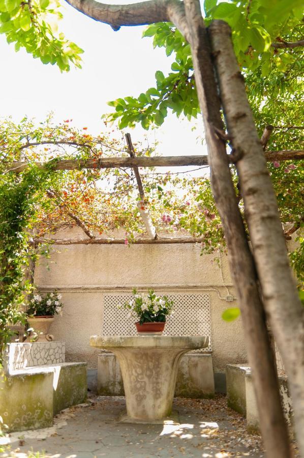 Casa Teresinella Garden Apartment Торе Анунциата Екстериор снимка