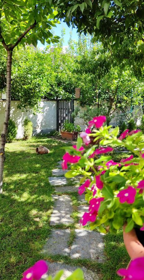 Casa Teresinella Garden Apartment Торе Анунциата Екстериор снимка